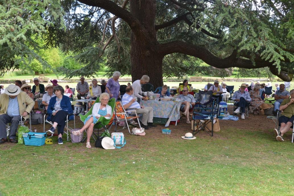 romsey-picnic.jpg